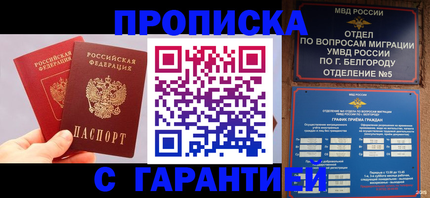 прописка 2025 в Наволоках